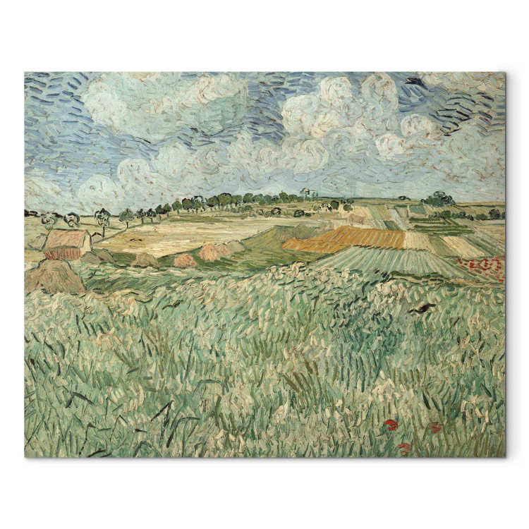 Reproduction Painting The Plain of Auvers 156416