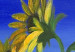Canvas Print Summer Nature (1-piece) - Splendid sunflowers on a blue background 48616 additionalThumb 3