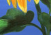 Canvas Print Summer Nature (1-piece) - Splendid sunflowers on a blue background 48616 additionalThumb 4