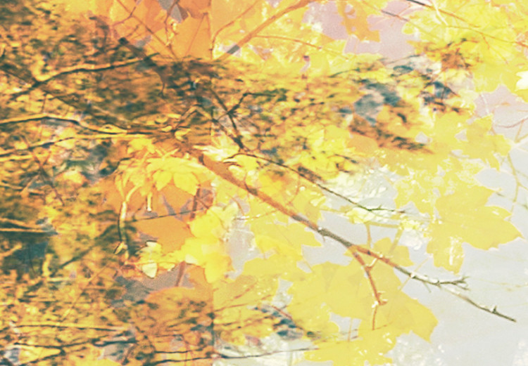 Canvas Beauty of autumn - triptych 50216 additionalImage 5