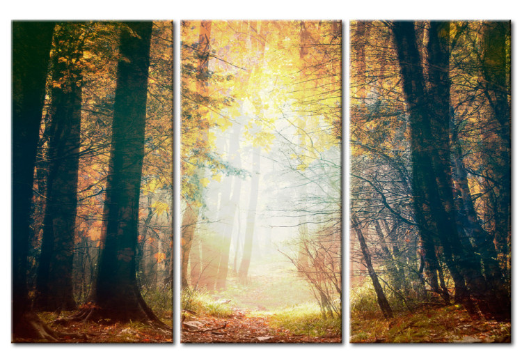 Canvas Beauty of autumn - triptych 50216