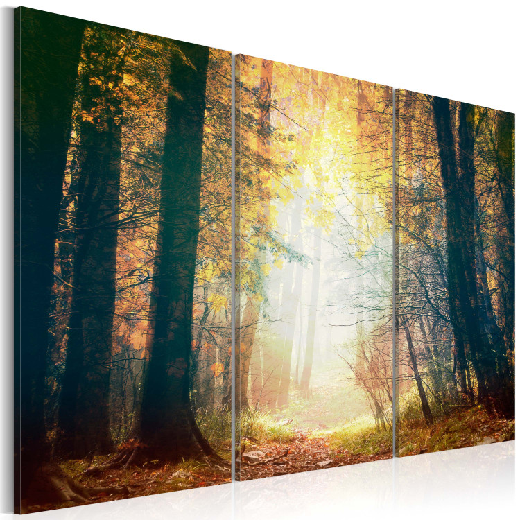 Canvas Beauty of autumn - triptych 50216 additionalImage 2