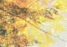 Canvas Beauty of autumn - triptych 50216 additionalThumb 5