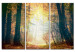 Canvas Beauty of autumn - triptych 50216