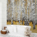 Photo Wallpaper Autumnal birch forest 60516 additionalThumb 8