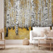 Photo Wallpaper Autumnal birch forest 60516