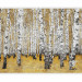 Photo Wallpaper Autumnal birch forest 60516 additionalThumb 1