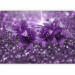 Wall Mural Gems of nature - lily flowers in a purple composition with sparkle 90316 additionalThumb 5
