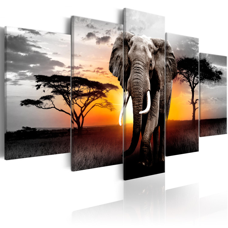 Canvas Print Elephant at Sunset (5-piece) - Journey Through Wild Africa 98616 additionalImage 2