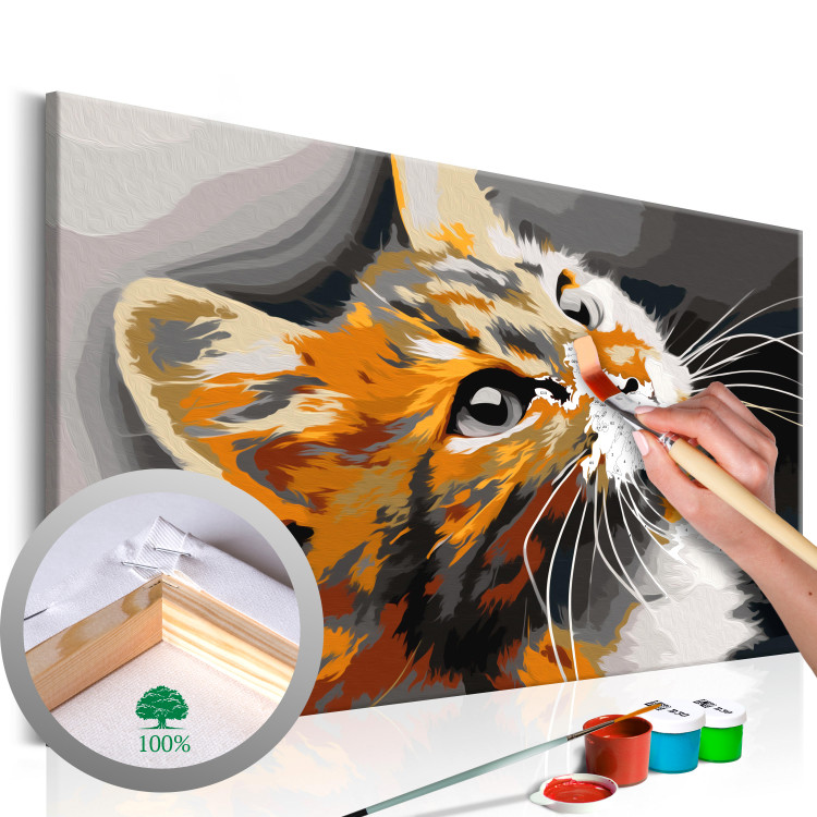 Paint by Number Kit Red Cat  107126