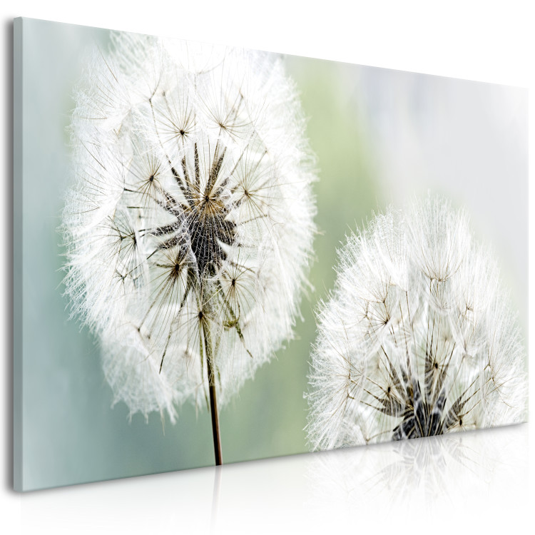 Canvas Fluffy Dandelions (1 Part) Green Wide 107226 additionalImage 2