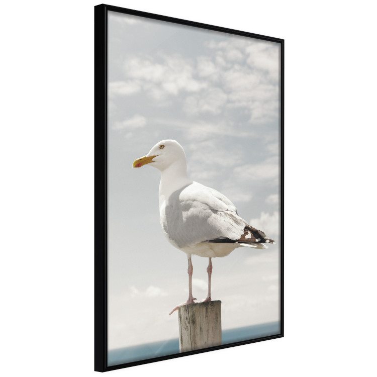 Poster Seagull - water bird sitting on a pier with sea and cloudy sky in the background 117026 additionalImage 10