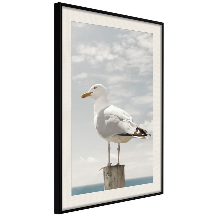 Poster Seagull - water bird sitting on a pier with sea and cloudy sky in the background 117026 additionalImage 3