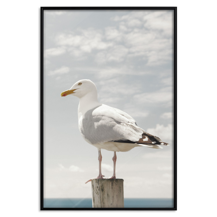Poster Seagull - water bird sitting on a pier with sea and cloudy sky in the background 117026 additionalImage 24
