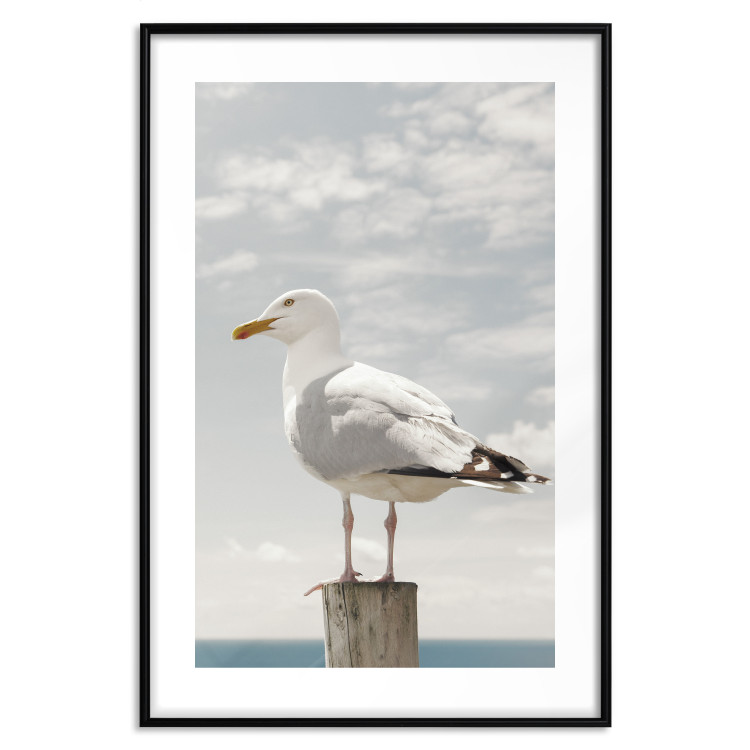 Poster Seagull - water bird sitting on a pier with sea and cloudy sky in the background 117026 additionalImage 15