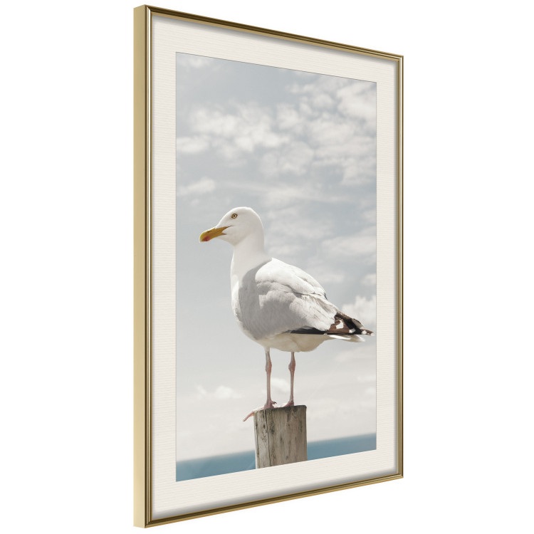 Poster Seagull - water bird sitting on a pier with sea and cloudy sky in the background 117026 additionalImage 2
