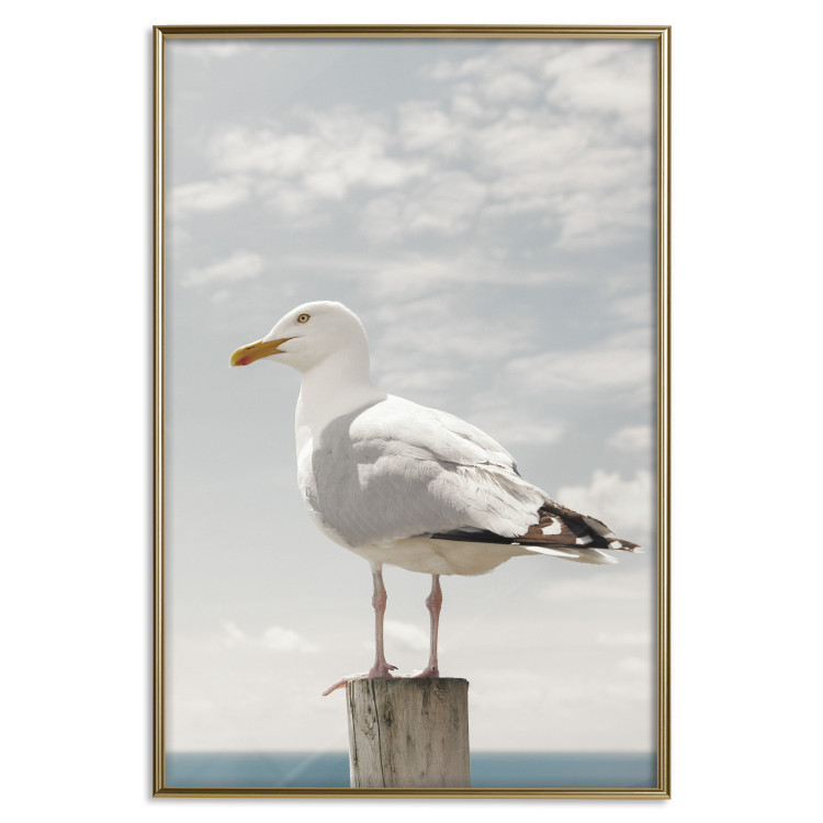 Poster Seagull - water bird sitting on a pier with sea and cloudy sky in the background 117026 additionalImage 20