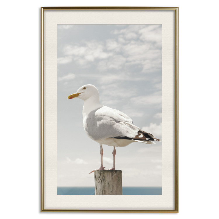 Poster Seagull - water bird sitting on a pier with sea and cloudy sky in the background 117026 additionalImage 19