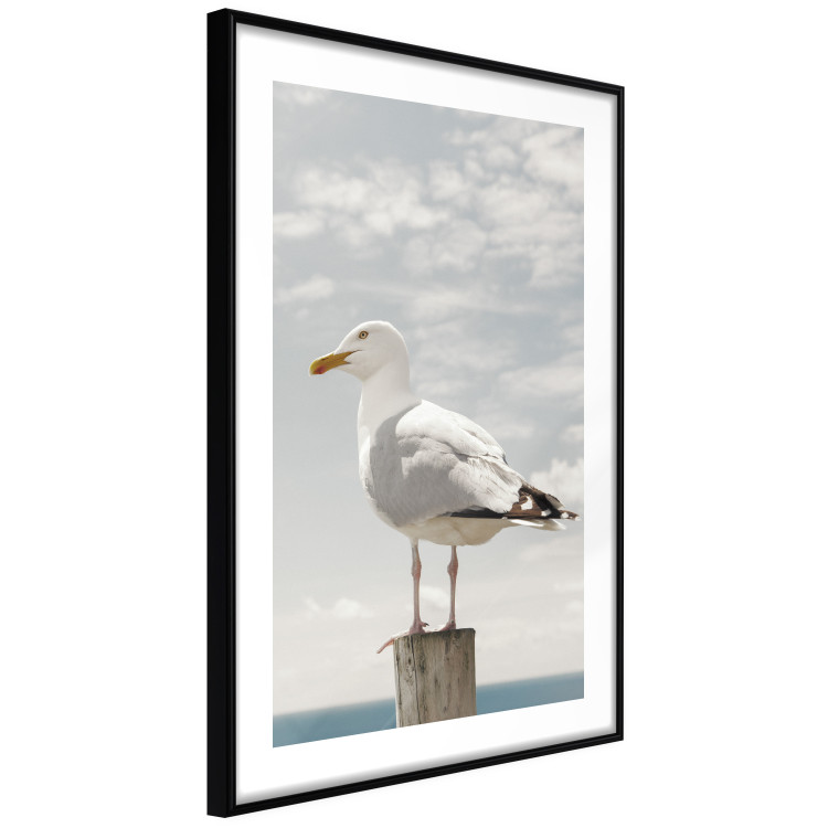 Poster Seagull - water bird sitting on a pier with sea and cloudy sky in the background 117026 additionalImage 13