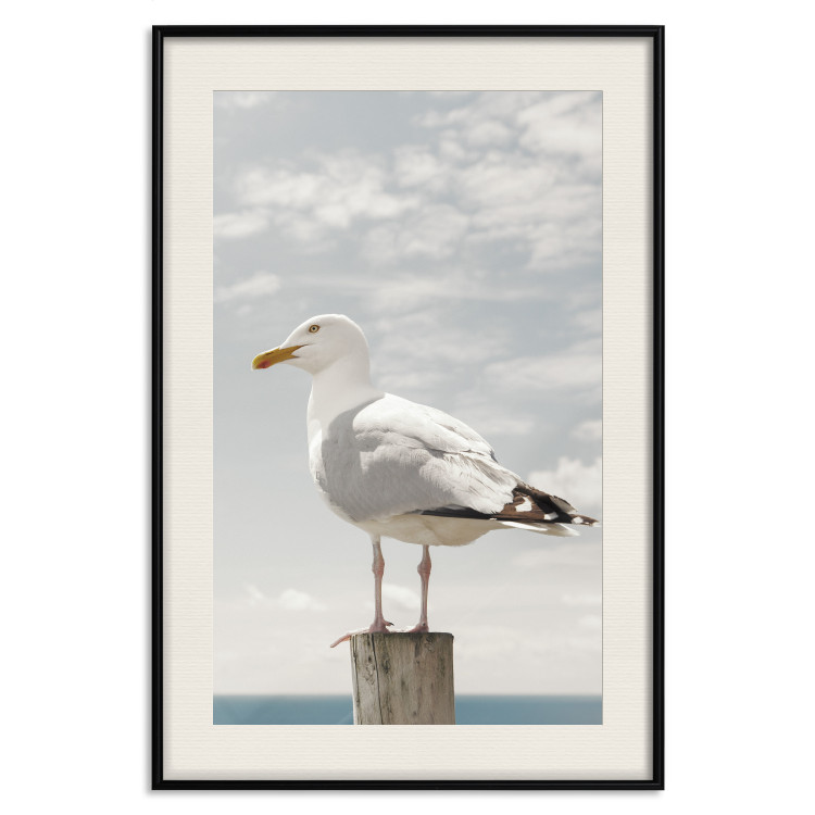 Poster Seagull - water bird sitting on a pier with sea and cloudy sky in the background 117026 additionalImage 18
