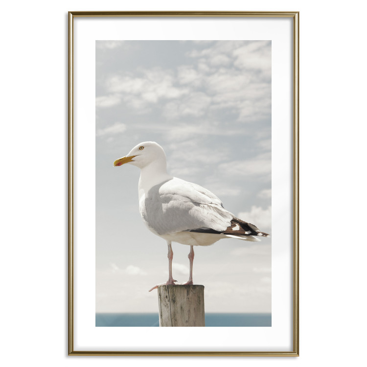 Poster Seagull - water bird sitting on a pier with sea and cloudy sky in the background 117026 additionalImage 14
