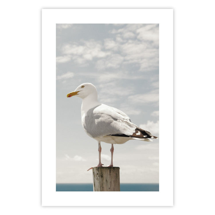 Poster Seagull - water bird sitting on a pier with sea and cloudy sky in the background 117026 additionalImage 19