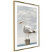 Poster Seagull - water bird sitting on a pier with sea and cloudy sky in the background 117026 additionalThumb 8