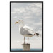 Poster Seagull - water bird sitting on a pier with sea and cloudy sky in the background 117026 additionalThumb 18