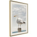 Poster Seagull - water bird sitting on a pier with sea and cloudy sky in the background 117026 additionalThumb 2