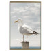 Poster Seagull - water bird sitting on a pier with sea and cloudy sky in the background 117026 additionalThumb 20