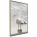 Poster Seagull - water bird sitting on a pier with sea and cloudy sky in the background 117026 additionalThumb 12