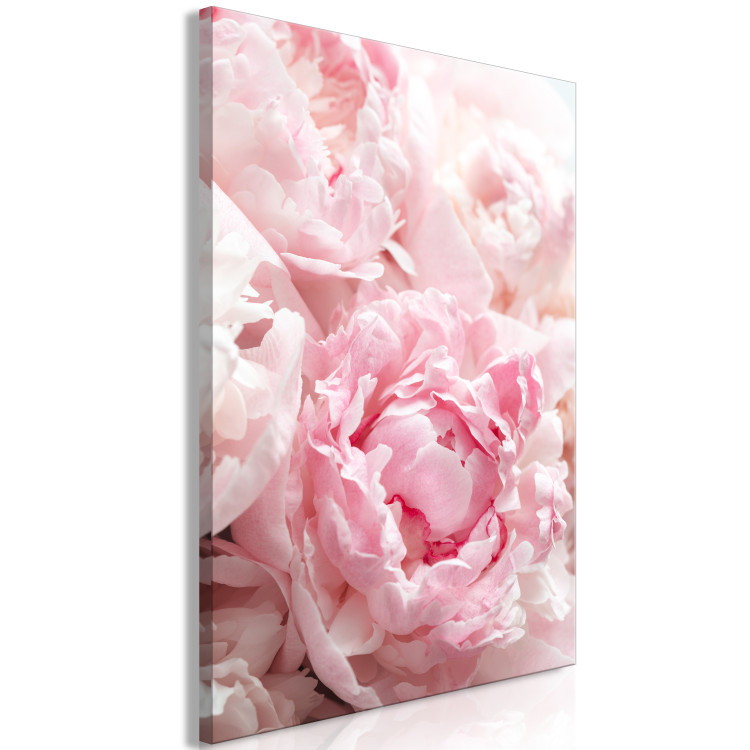 Canvas Art Print Blossoming Colors of Nature (1-part) - Peony Flower in Shades of Pink 118326 additionalImage 2