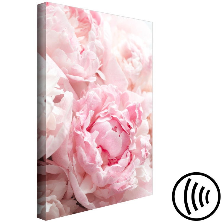 Canvas Art Print Blossoming Colors of Nature (1-part) - Peony Flower in Shades of Pink 118326 additionalImage 6