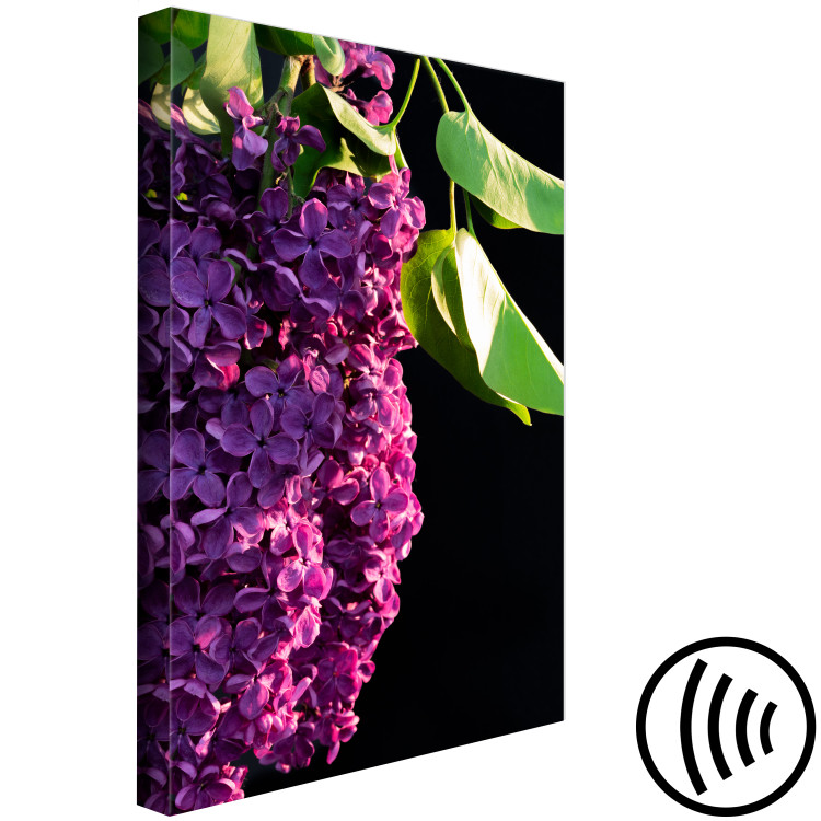 Canvas Art Print Common Lilac - a purple flower and leaves on a black background 121626 additionalImage 6