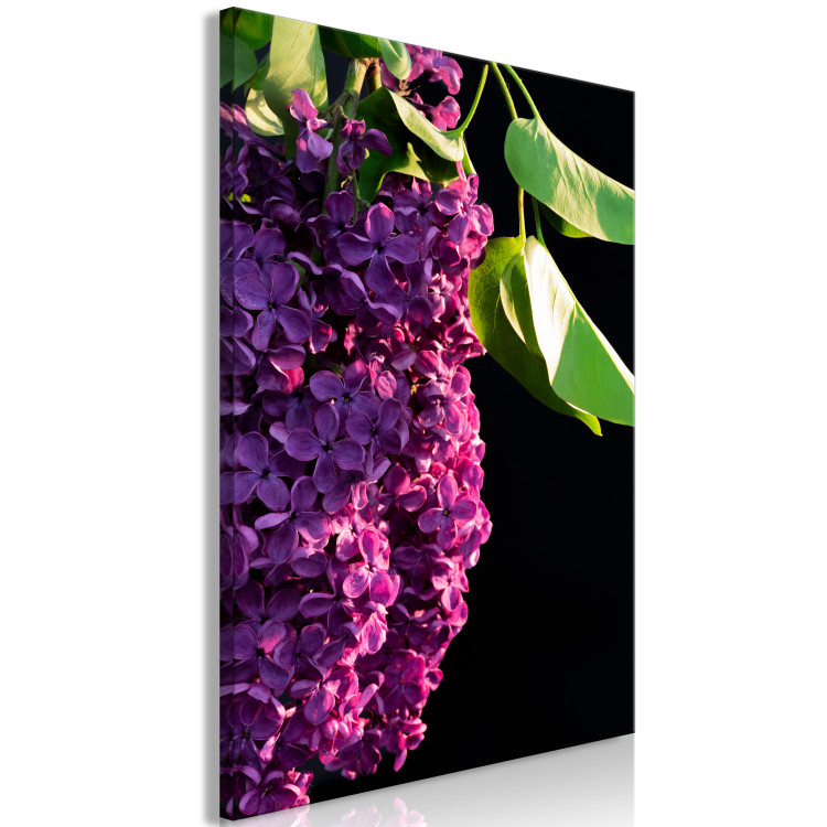 Canvas Art Print Common Lilac - a purple flower and leaves on a black background 121626 additionalImage 2
