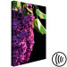 Canvas Art Print Common Lilac - a purple flower and leaves on a black background 121626 additionalThumb 6