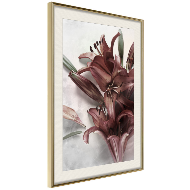Wall Poster Floral Form - plant with red flowers on concrete texture background 123526 additionalImage 4