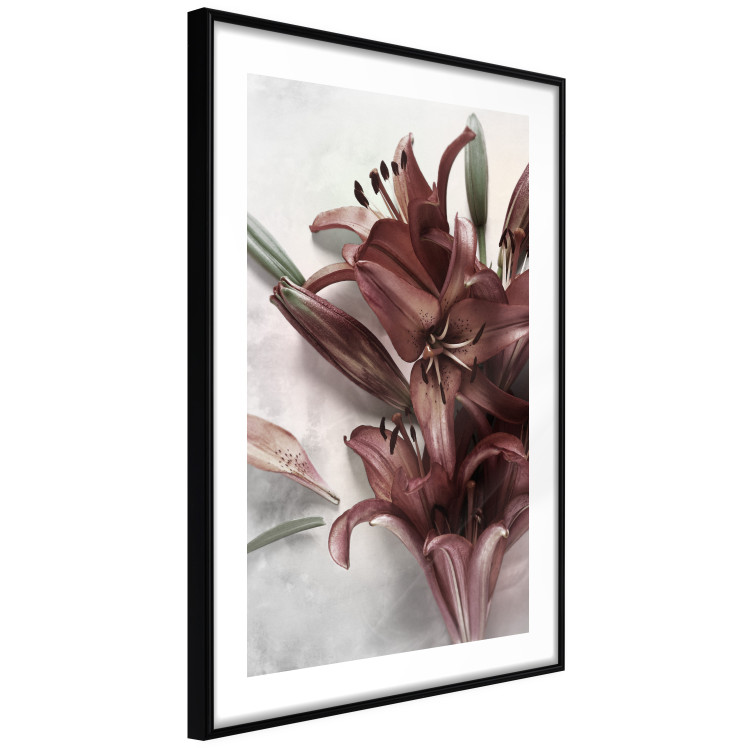Wall Poster Floral Form - plant with red flowers on concrete texture background 123526 additionalImage 2