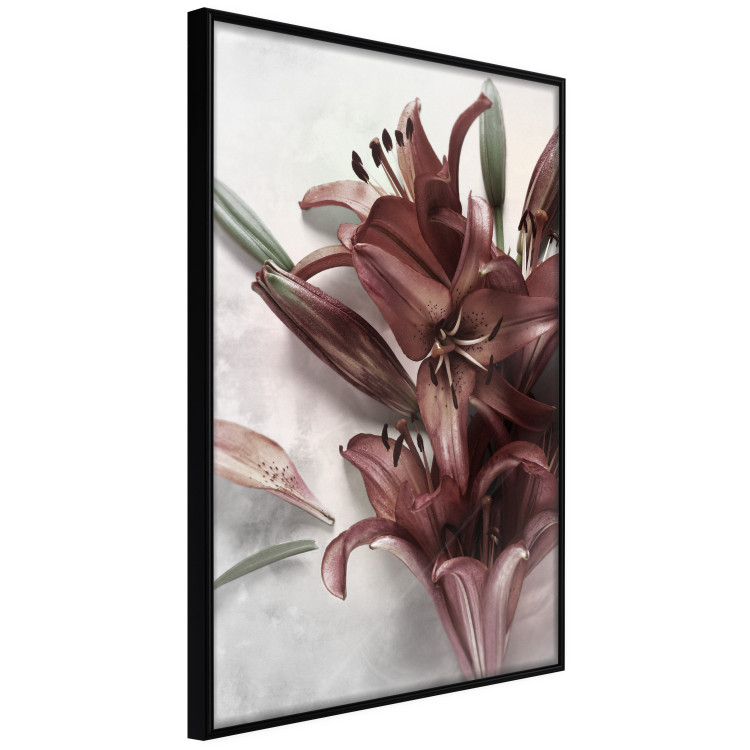 Wall Poster Floral Form - plant with red flowers on concrete texture background 123526 additionalImage 8