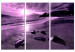 Canvas Purple sunset - triptych with beach, sea and mountains in background 125026