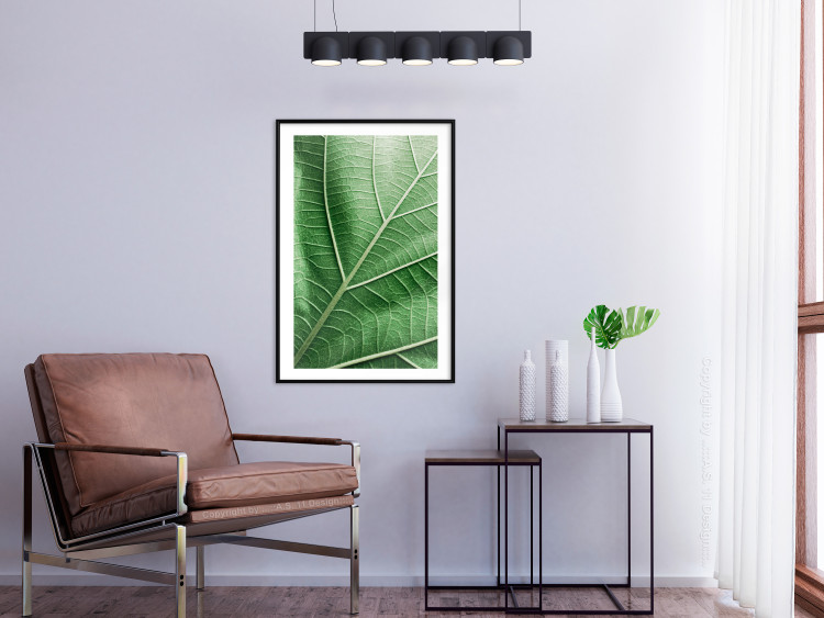 Poster Malachite Leaf - green leaf with precise texture in close-up 126826 additionalImage 18