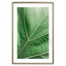 Poster Malachite Leaf - green leaf with precise texture in close-up 126826 additionalThumb 16