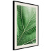 Poster Malachite Leaf - green leaf with precise texture in close-up 126826 additionalThumb 2