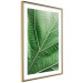 Poster Malachite Leaf - green leaf with precise texture in close-up 126826 additionalThumb 7