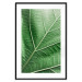 Poster Malachite Leaf - green leaf with precise texture in close-up 126826 additionalThumb 15