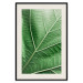 Poster Malachite Leaf - green leaf with precise texture in close-up 126826 additionalThumb 19