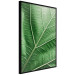 Poster Malachite Leaf - green leaf with precise texture in close-up 126826 additionalThumb 13