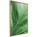 Poster Malachite Leaf - green leaf with precise texture in close-up 126826 additionalThumb 14
