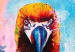 Canvas Colourful Parrots (1 Part) Square 127026 additionalThumb 5