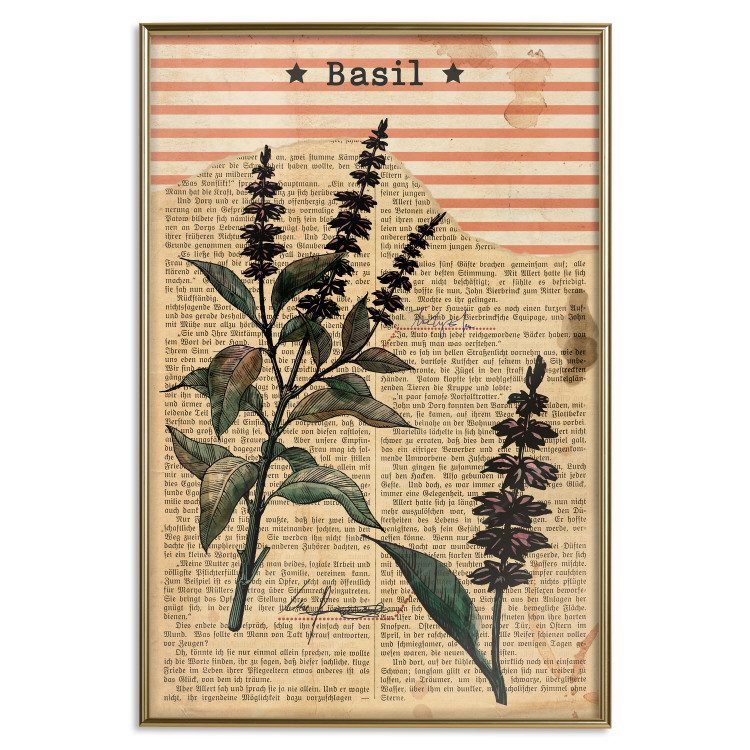 Poster Basil Poetry - vintage composition with plants and black text in background 129426 additionalImage 21